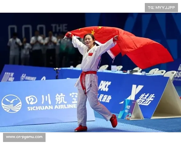 加强国际空手道裁判员队伍建设全面提升比赛执裁能力与专业水平